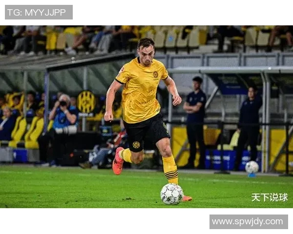 阿尔梅勒城与罗达JC激战正酣赛果揭晓引发球迷热议